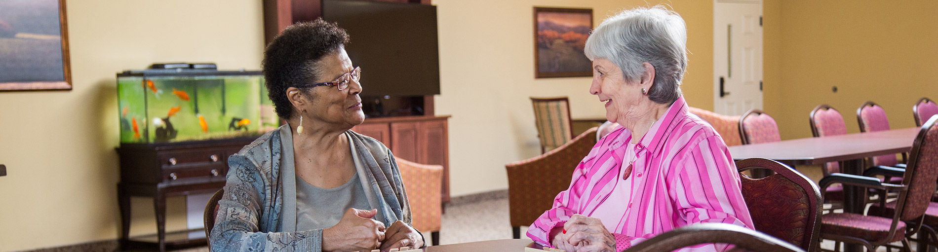 Senior Living Activities and Opportunities in MN